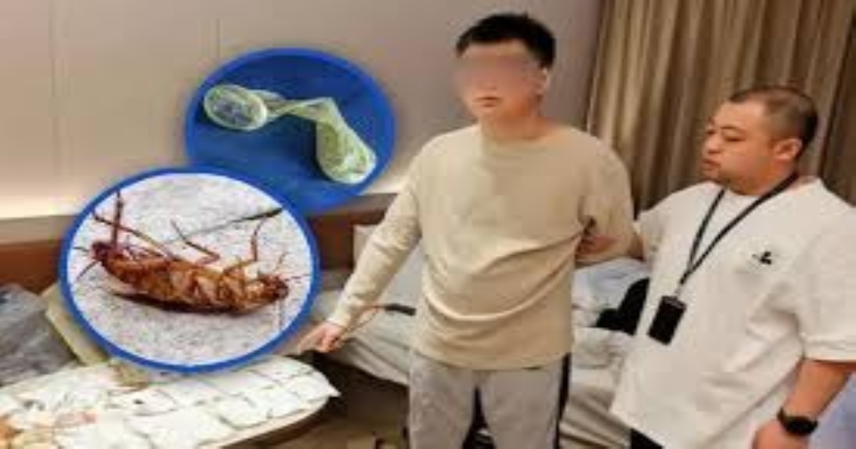 Chinese man scams using Dead cockroaches used condoms 