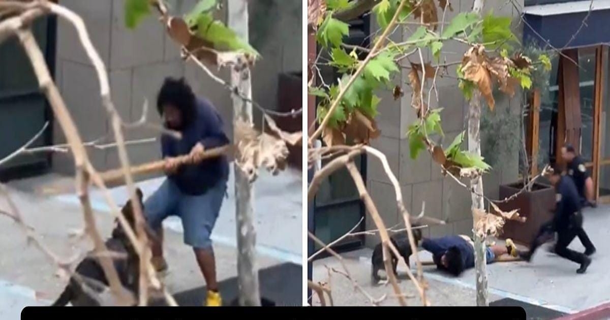 san-diego-police-dog-arrests-attacker-viral-video