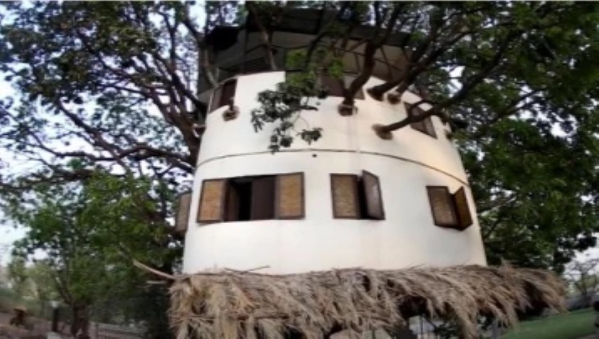 Dream house build arond mango tree