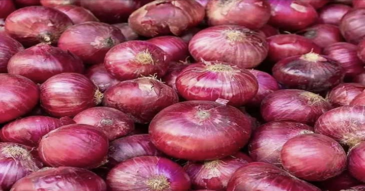 Onion price decrease in tamilnadu