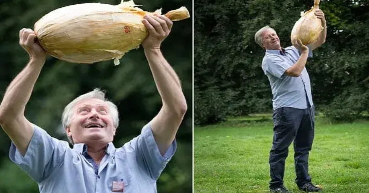 9kg big size onion in England 