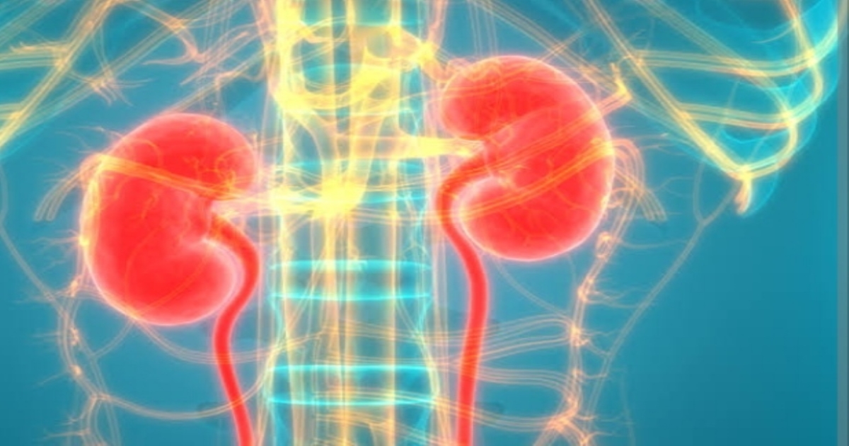 Healthy tips for Kidney problems 