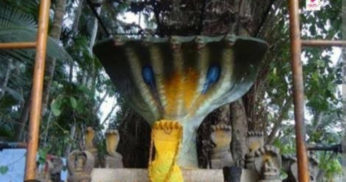News about kanniyakumari nagarajan temple