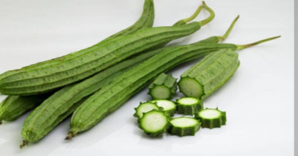 Benefits of eating ridge gourd 