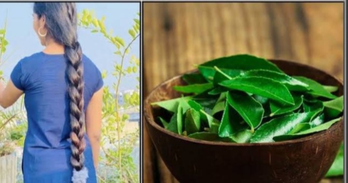 Recipe and benefits of curry leaves 