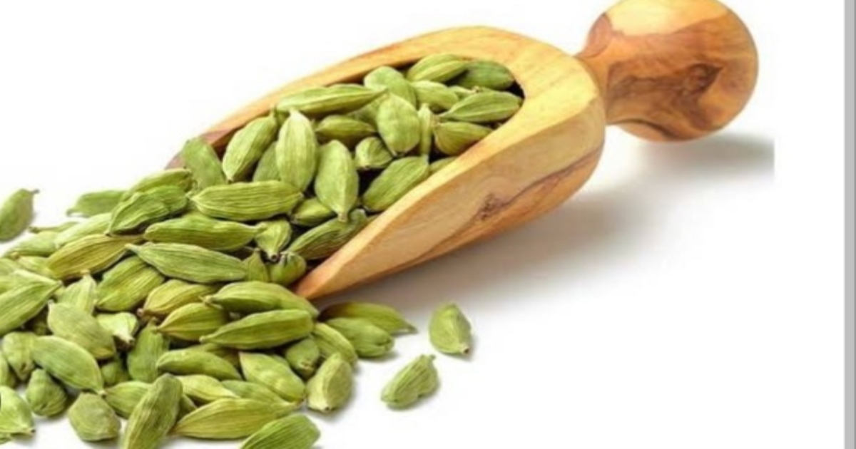 Health benefits of using cardamom 