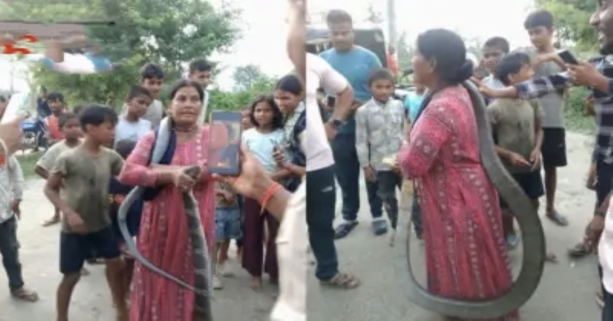giant-black-cobra-rescued-from-bihar-house