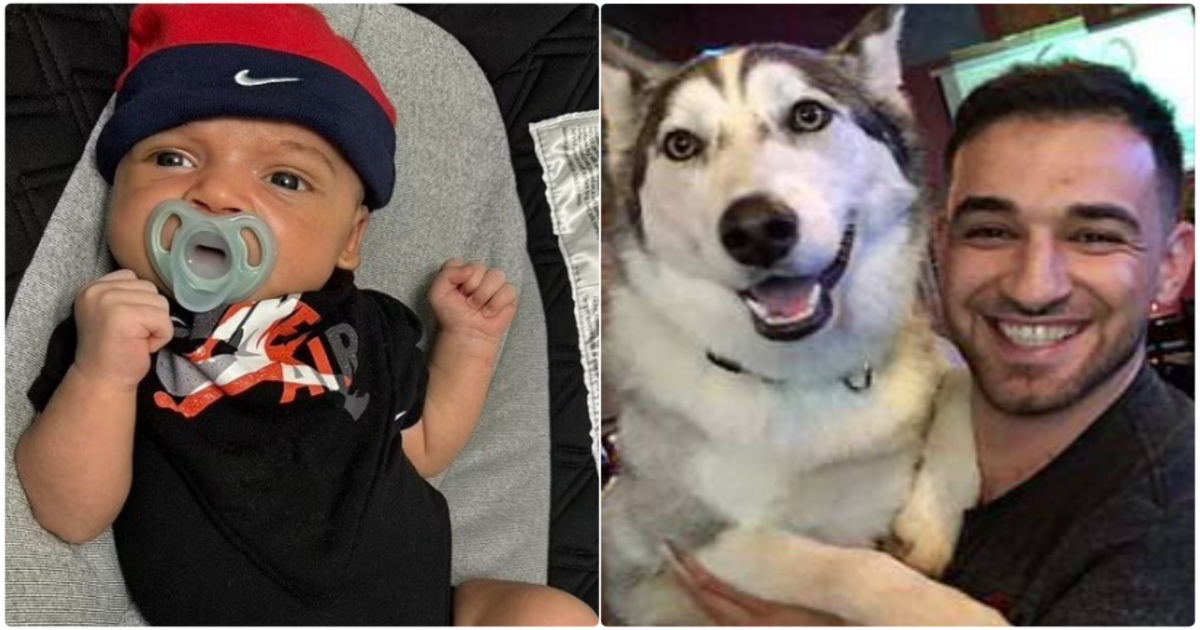 us-tennessee-husky-dog-killed-6-week-new-born-baby