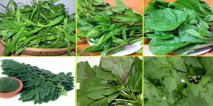 Spinach benefits in summer 