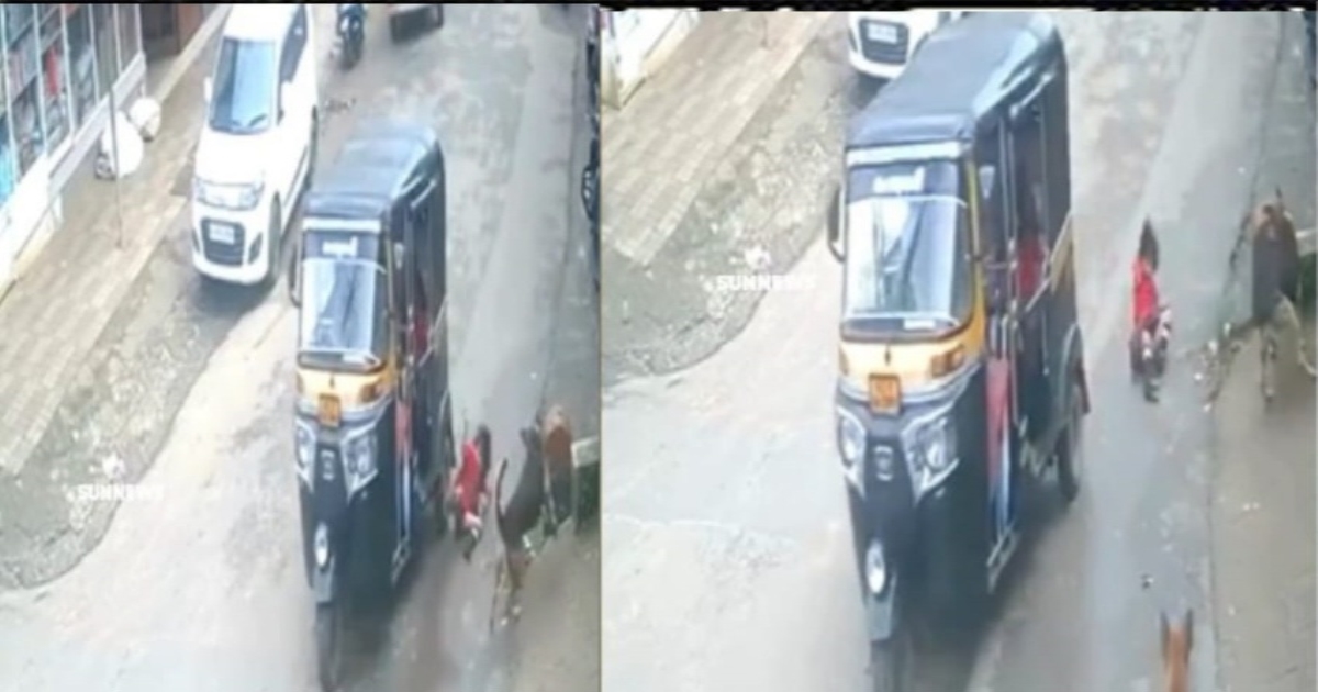 wayanad-girl-falls-from-auto-viral-video