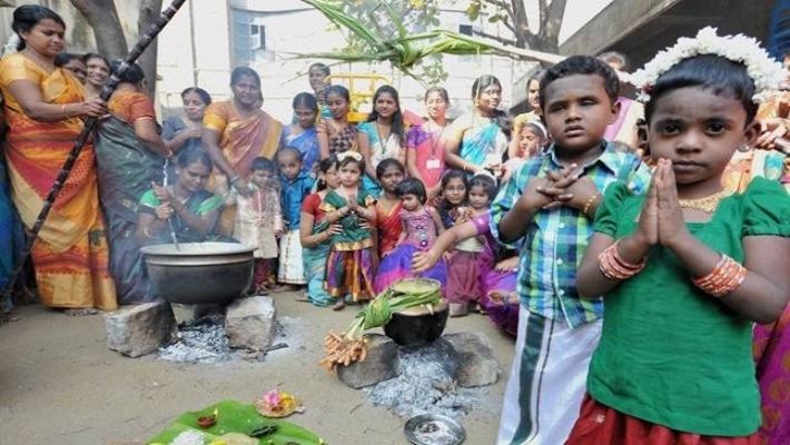 Court ordered to no pongal prize for tamilnadu people