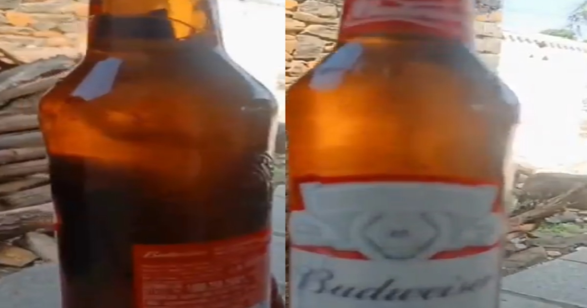 Lizard Found on Beer Bottle in Vikarabad 