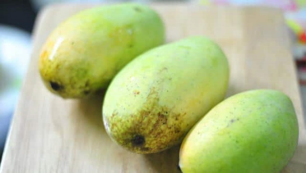 nurjahan mango rate