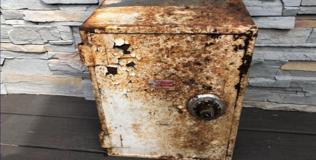 Treasure buried backyard trnd