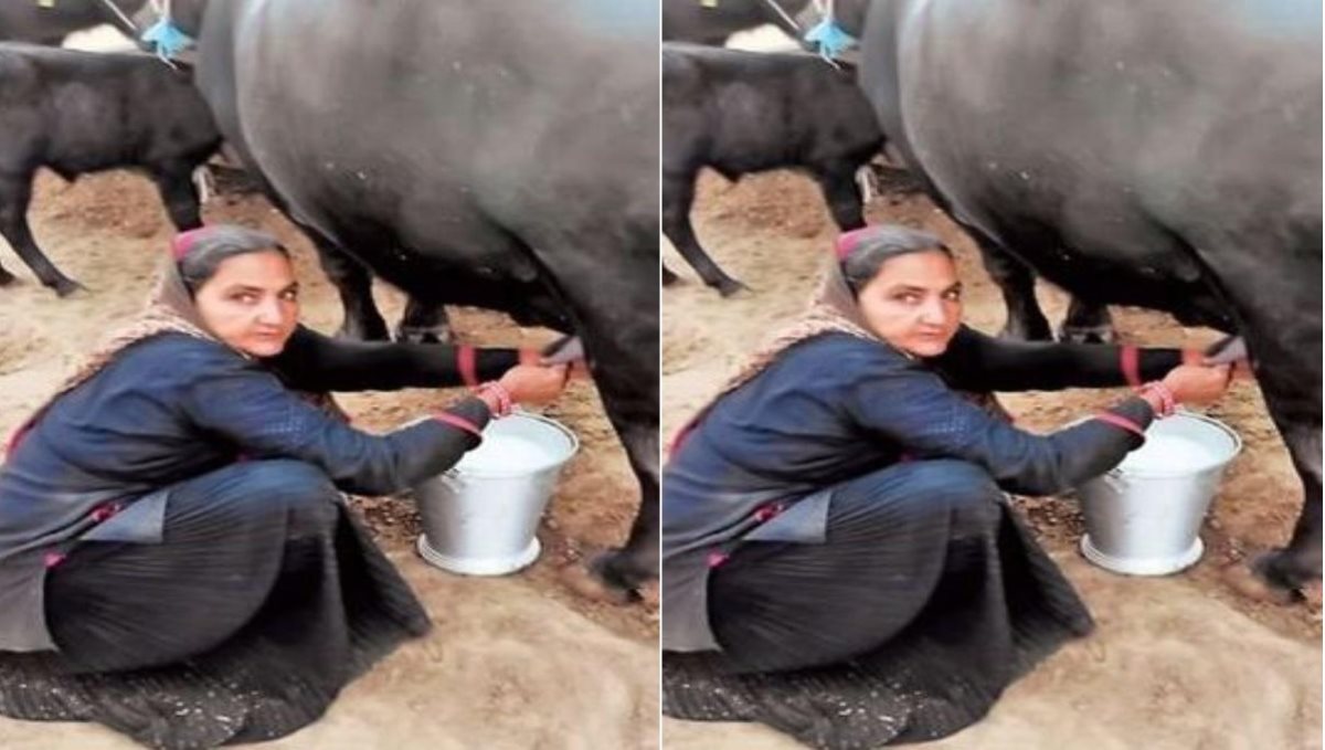 Gujarat 62 years old grandma earned 1 crore through milk business