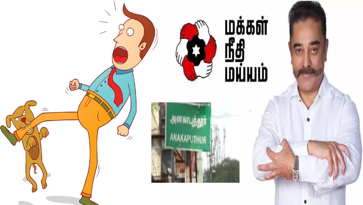Chennai Tambaram Pallavaram Anakaputhur MNM Candidate Bite by Dog 