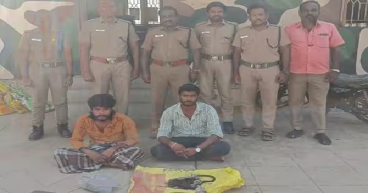 in Dindigul a Monkey Killed and eaten by Coolie Worker