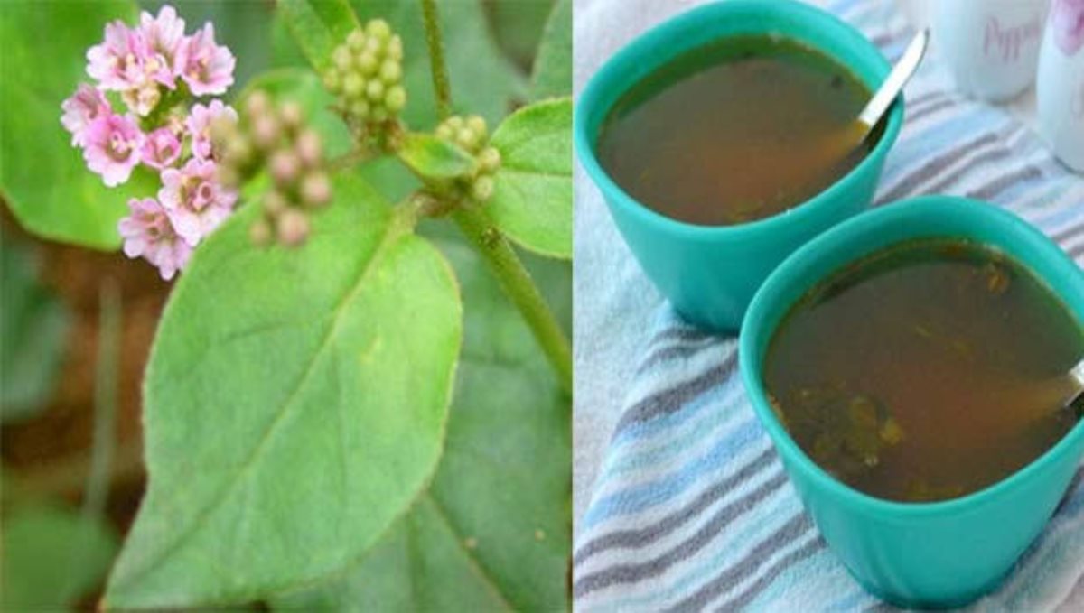 mookiratai-soup-recipe-for-kidney-problem