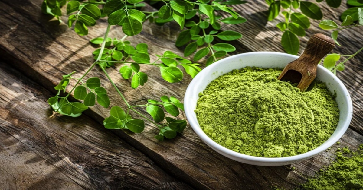 Moringa Powder Benefits: Why You Should Eat This Superfood Daily