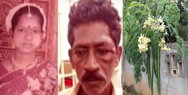 Father in law killed daughter in law for drumstick tree