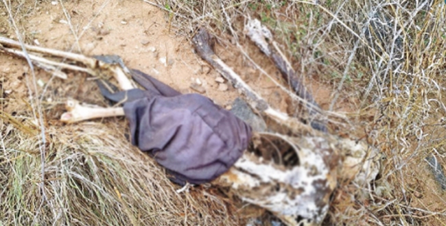 murder-in-velore-forest-human-skeleton-found