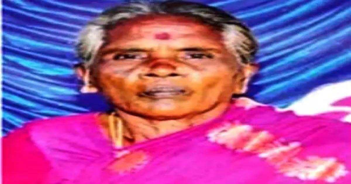 அட பாவமே! பன்றிக்காக அமைக்கப்பட்ட மின்வேலியில் சிக்கி மூதாட்டி பலி ...