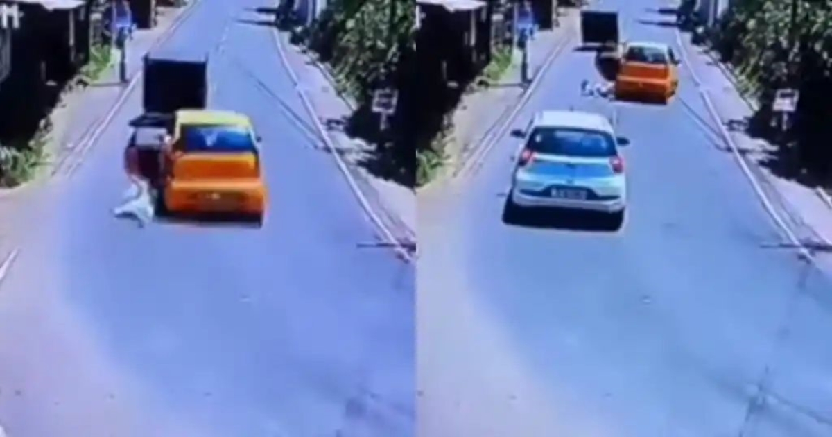 mother-daughter-fall-from-car-malappuram-video-awareness