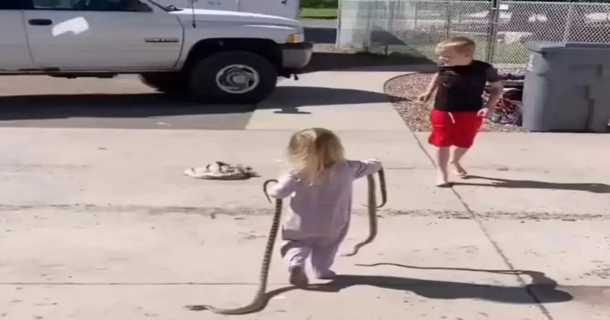 brave-girl-snake-video-goes-viral