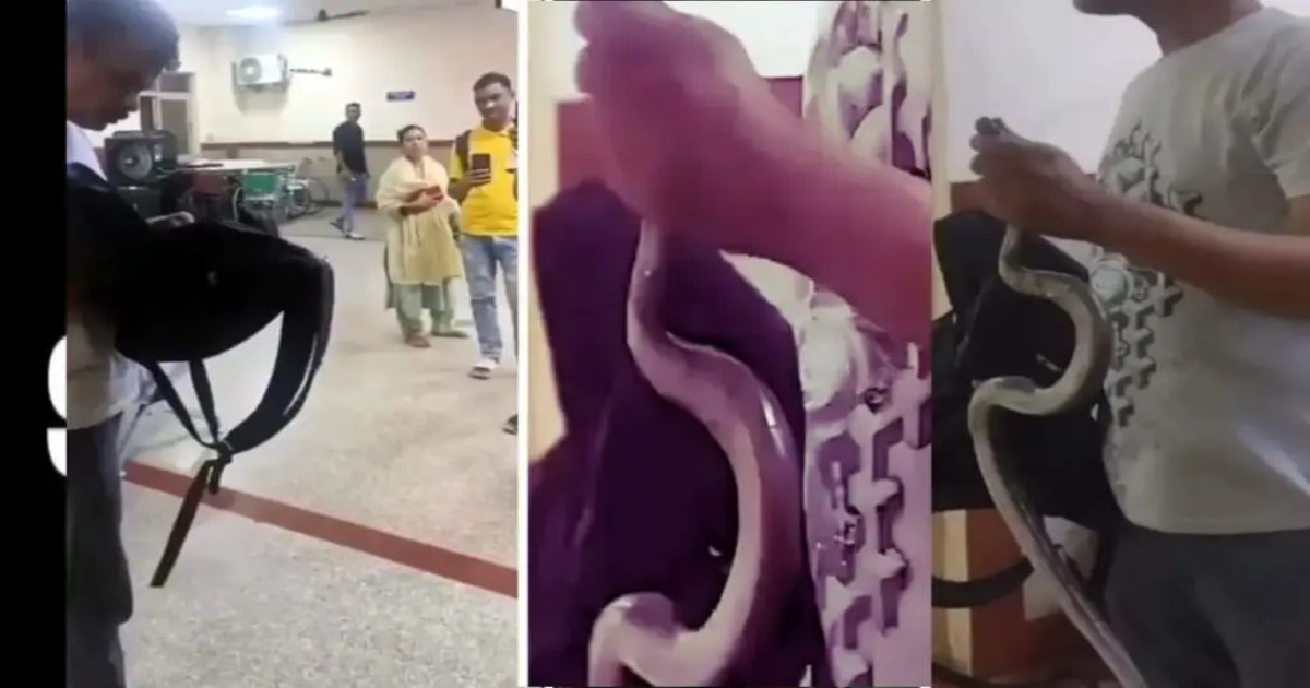 snake-in-bag-jaipur-hospital-incident
