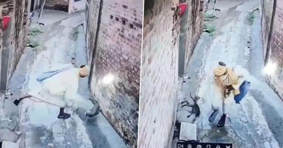 cruelty-to-cat-in-haryana-shocks-public