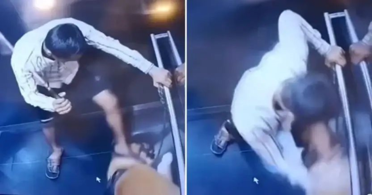 pune-pet-cruelty-cctv-viral-dog-abuse