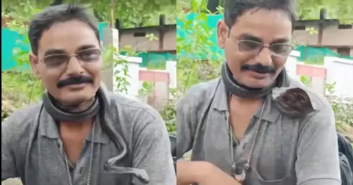 snake-handler-dies-during-reel-mp