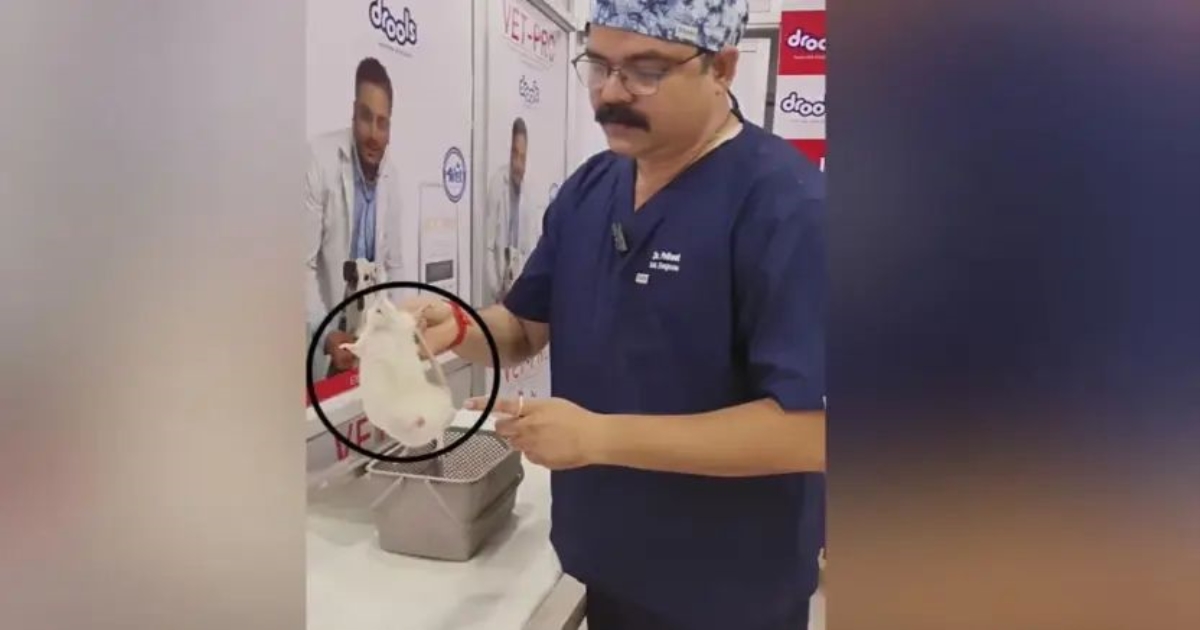 mouse-surgery-sensation-jaunpur