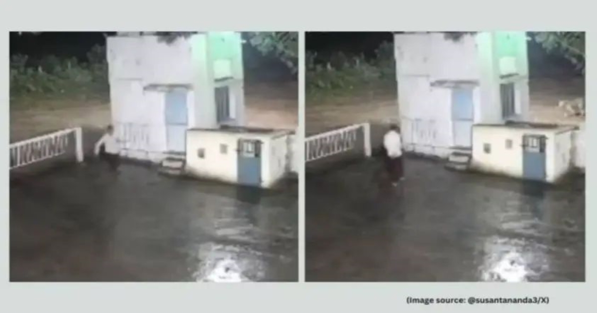 junagadh-lion-human-meet-funny-viral-video