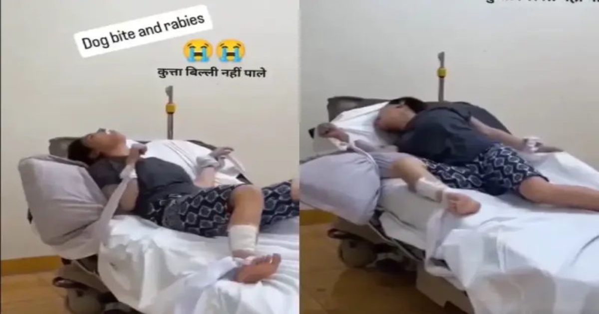 rabies-stray-dog-debate-india