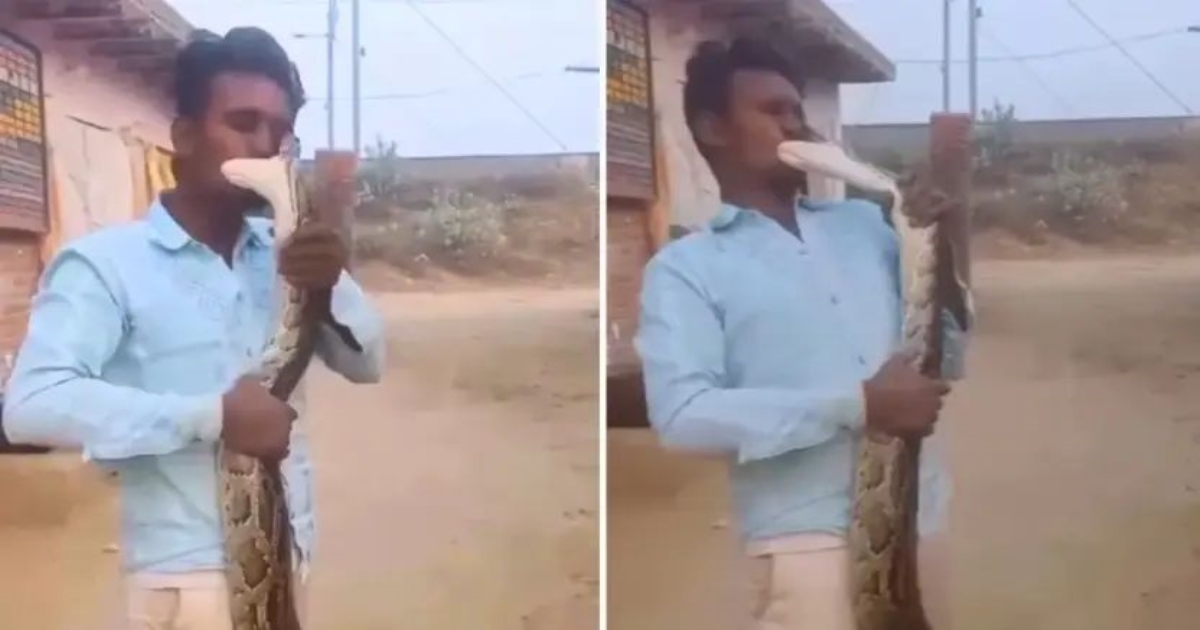 youth-snake-bite-video-viral