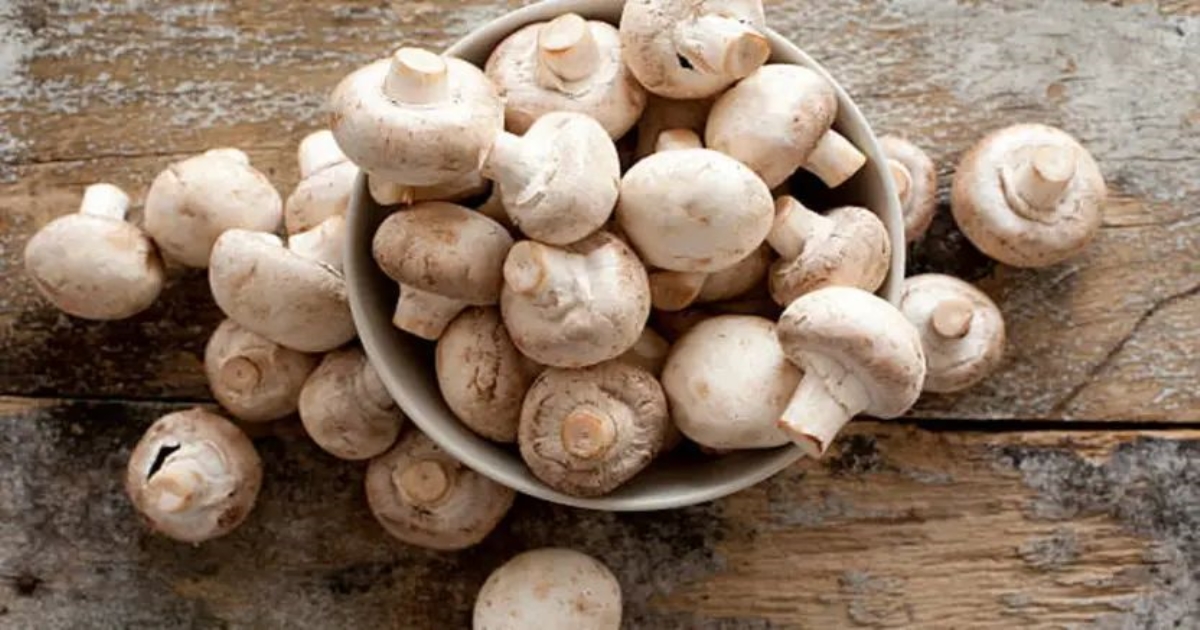 how-to-clean-mushroom-properly