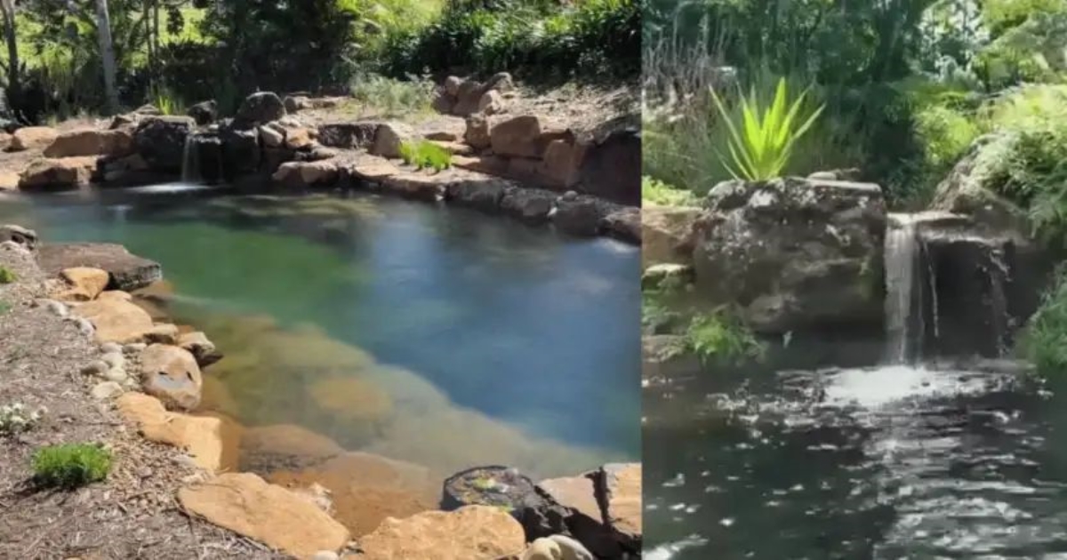 natural-swimming-pool-biosphere