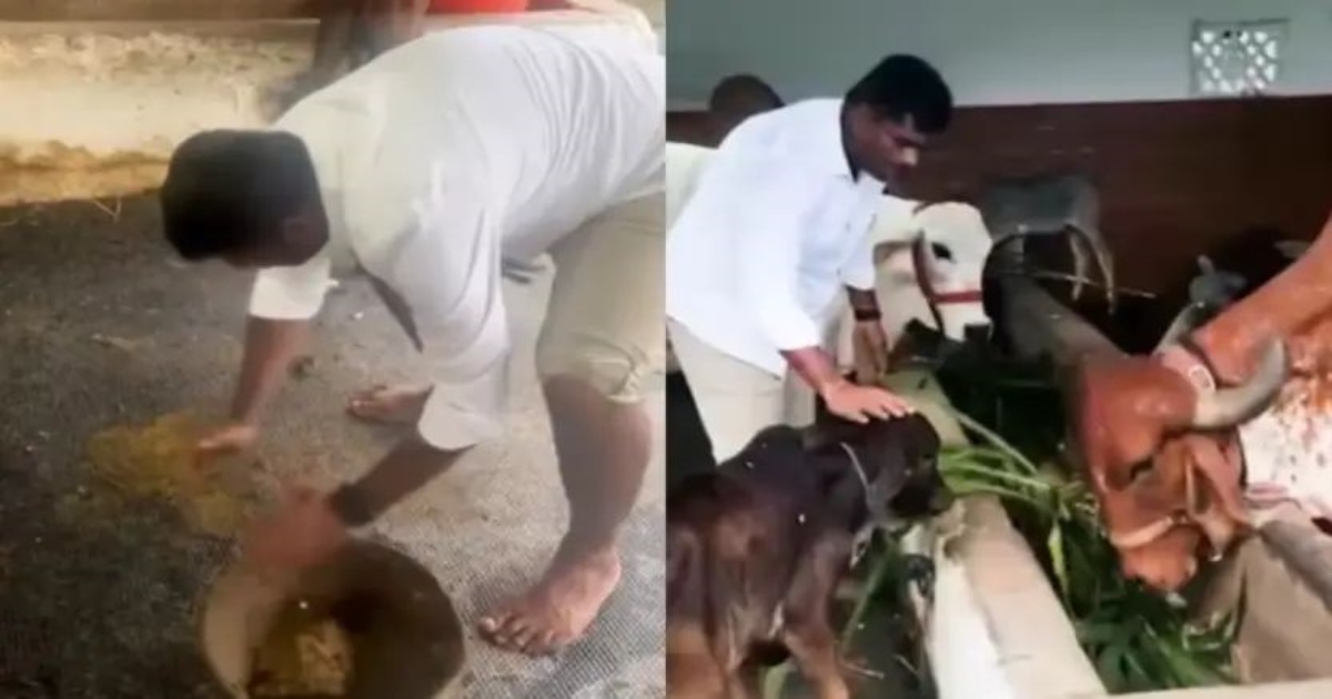 annamalai-natural-farming-viral-video