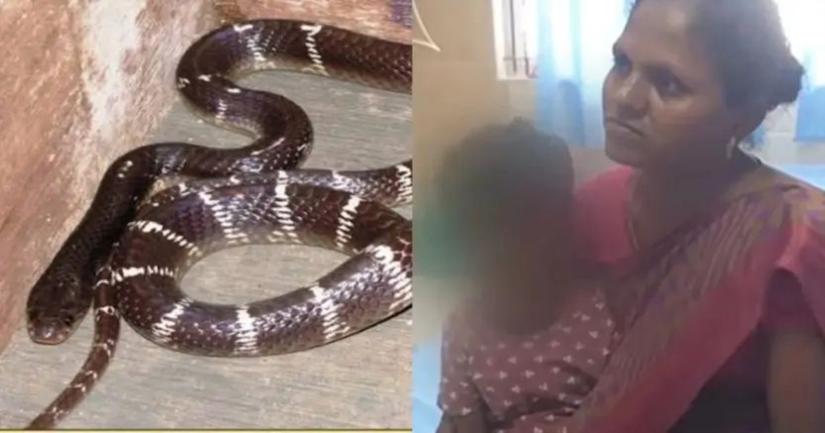 pudukottai-snakebite-girl-survives