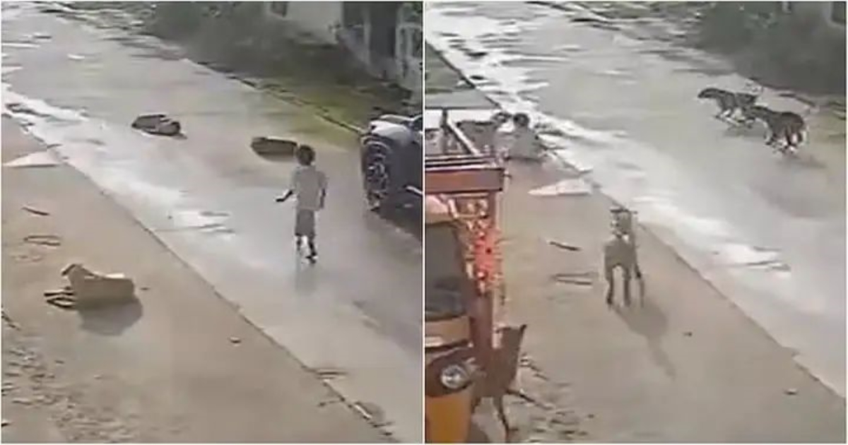 warangal-girl-dog-attack-incident