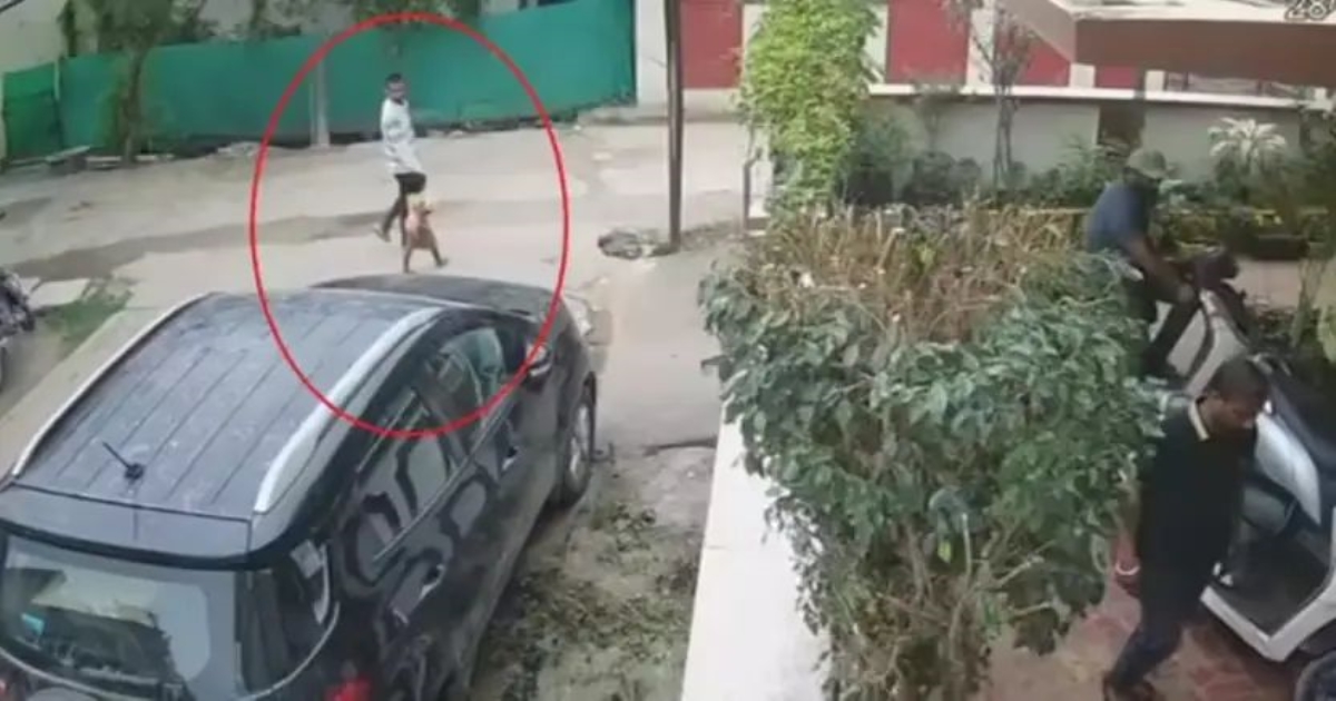 mp-mother-saves-child-kidnap-attempt