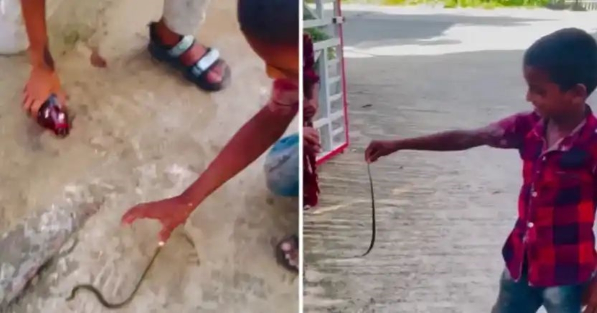kids-playing-with-snake-video-viral