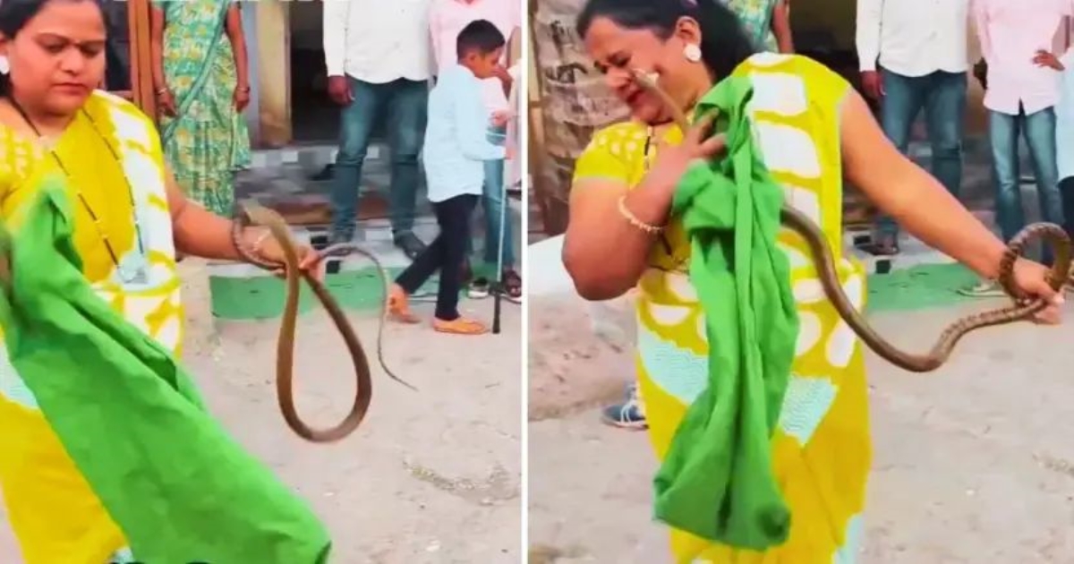 woman-in-pune-attacked-while-catching-snake