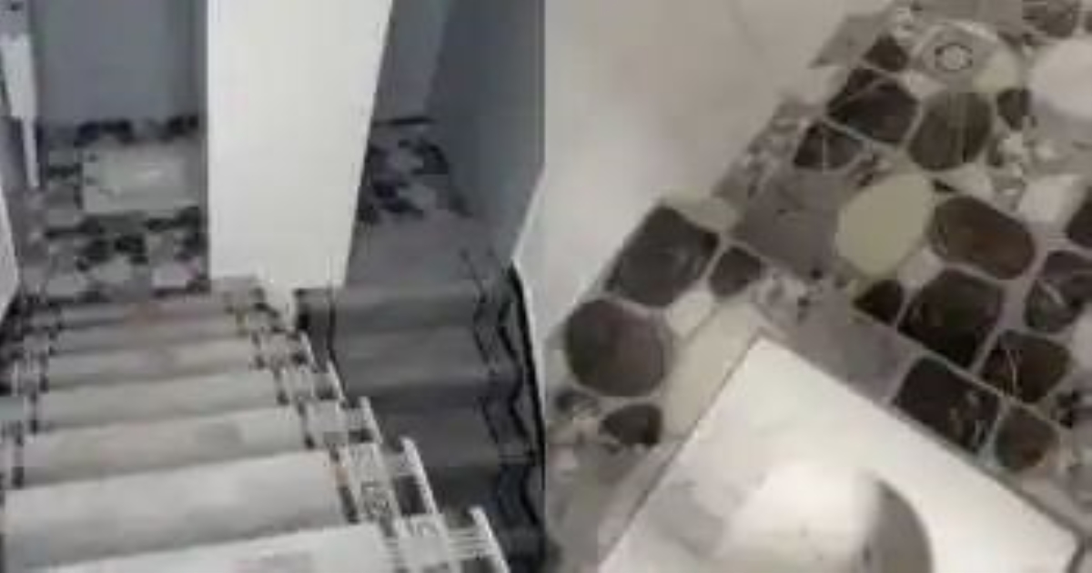 staircase-indian-toilet-viral-video-social-media