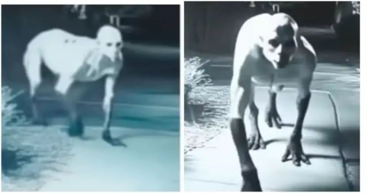 nashik-arai-ghost-rumour-ai-images-police-warning