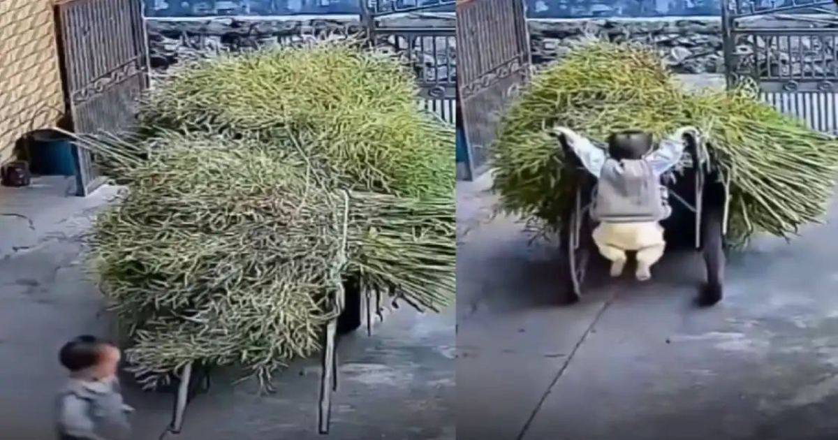 cute-boy-buggy-funny-viral-video