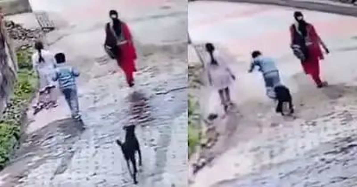 himachal-stray-dog-attack-child-viral-video