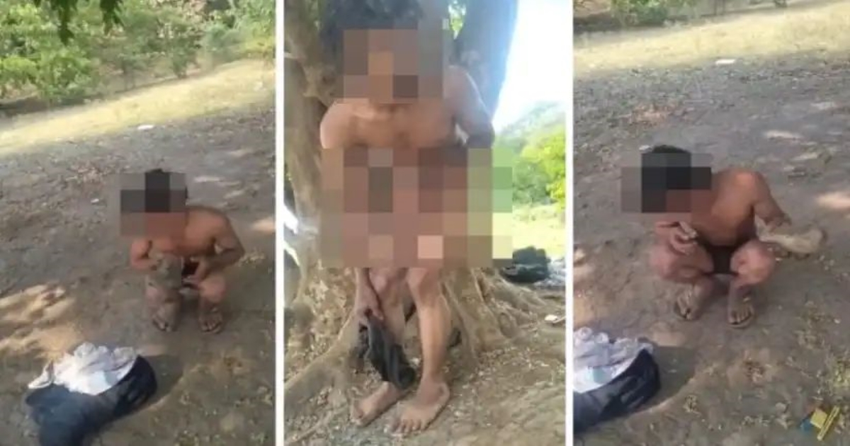 jabalpur-teen-assault-video-viral-case