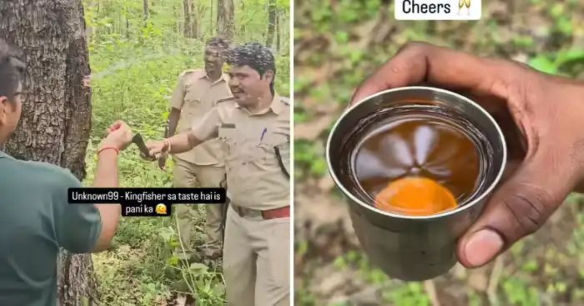 kali-tiger-reserve-saj-tree-water-video-viral
